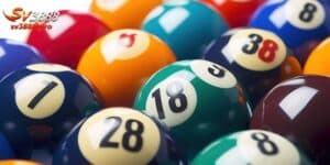 Bắt Bạch Thủ Lô Miền Bắc Đơn Giản Cho Người Mới