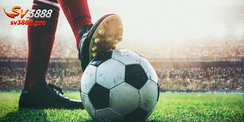 Kinh nghiệm cá cược kèo châu Âu hiệu quả cho người mới