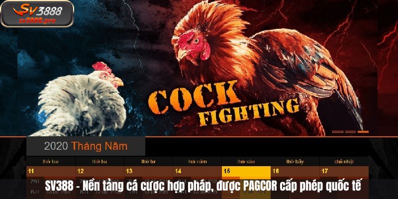 SV388 – Nền tảng cá cược hợp pháp, được PAGCOR cấp phép quốc tế