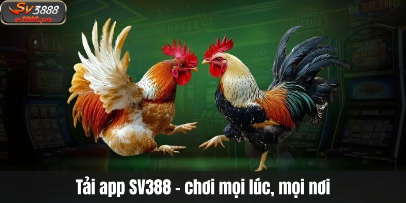 Tải app SV388 – chơi mọi lúc, mọi nơi